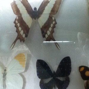 Cover: kreative perspektiven